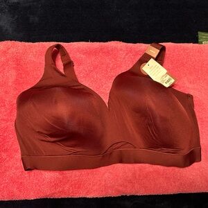 Lane Bryant Cacique lightly lined no-wire bra